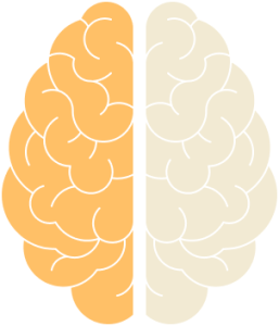 adhd och hjärnan adhd och påverkan på hjärnan